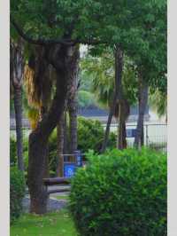 廈門寶藏公園竟然還有人不知道！