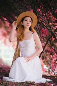 在廣東終於找到如此火紅的簕杜鵑瀑布