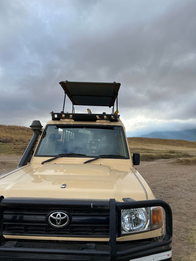 Lemala Ngorongoro Camp坦桑尼亞帳篷酒店
