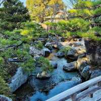 🌸闖入福岡大濠公園·日本庭園，邂逅和風雅韻