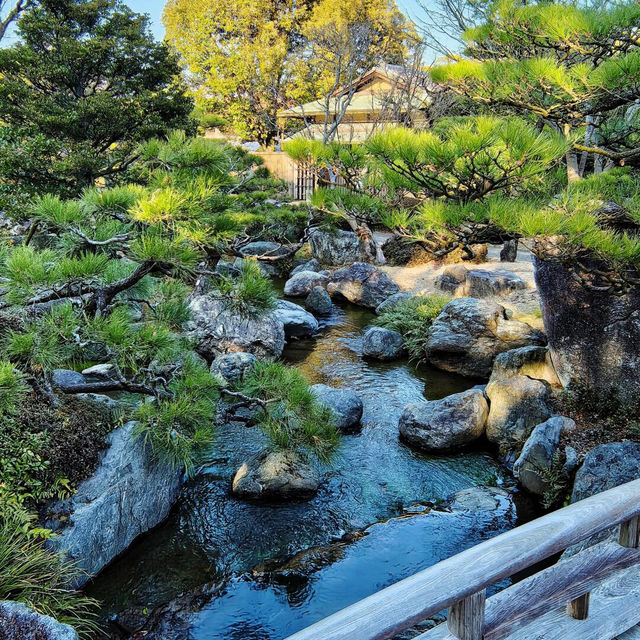 🌸闖入福岡大濠公園·日本庭園，邂逅和風雅韻