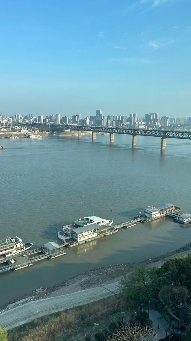 櫻約武漢，春滿攜程