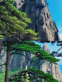 【黃山:雲海之上的仙境】