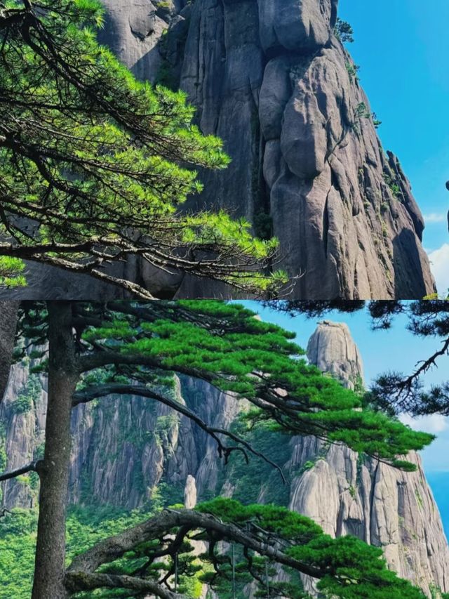 【黃山:雲海之上的仙境】 【黃山:雲海之上的仙境】