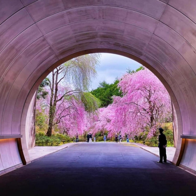 京都週邊1h🌸貝聿銘的世外桃源美秀美術館