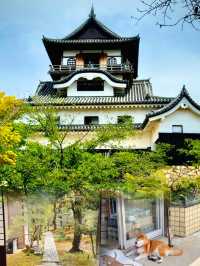 被低估的日本小城！犬山市一日暴走攻略