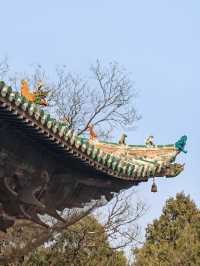 相信老祖宗的審美，不會錯！