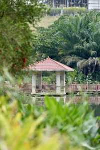 瓊中濕地公園——自然與詩意的邂逅