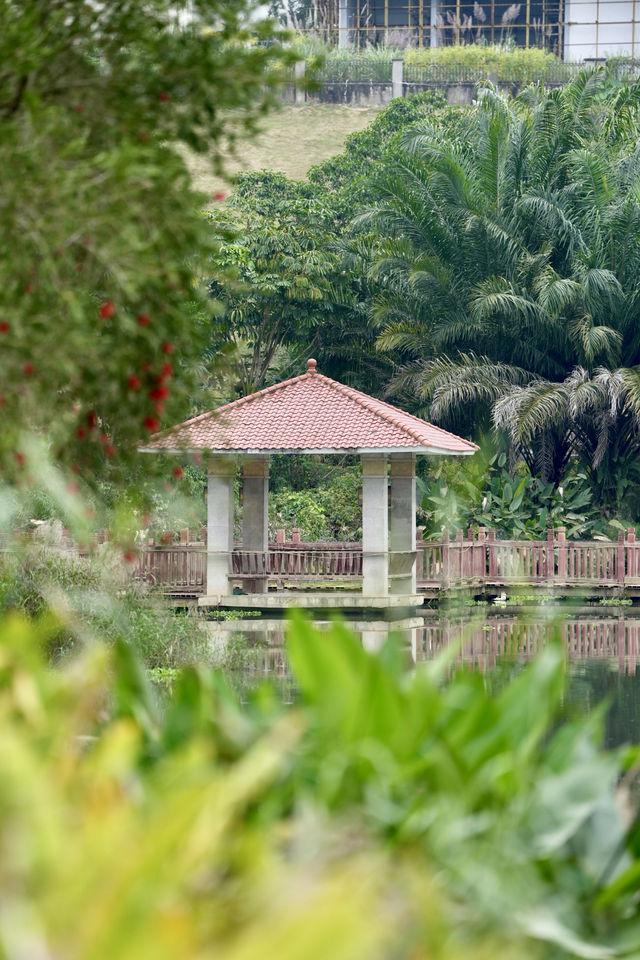 瓊中濕地公園——自然與詩意的邂逅