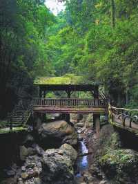 達州巴山大峽谷，風景優美，你去過嗎？