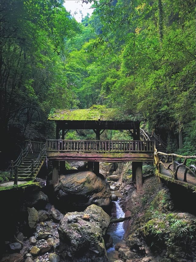 達州巴山大峽谷，風景優美，你去過嗎？