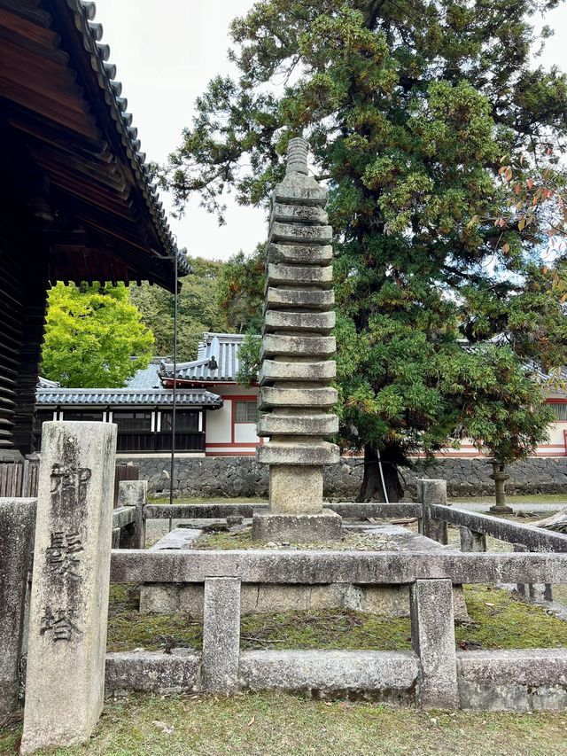 6天玩遍日本 超詳細攻略快收藏