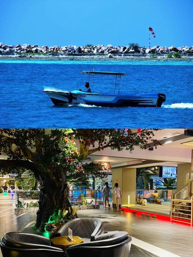 開曼群島大開曼島旅遊攻略來啦！