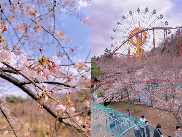 穿越時光的大門|韓國金海伽倻主題公園