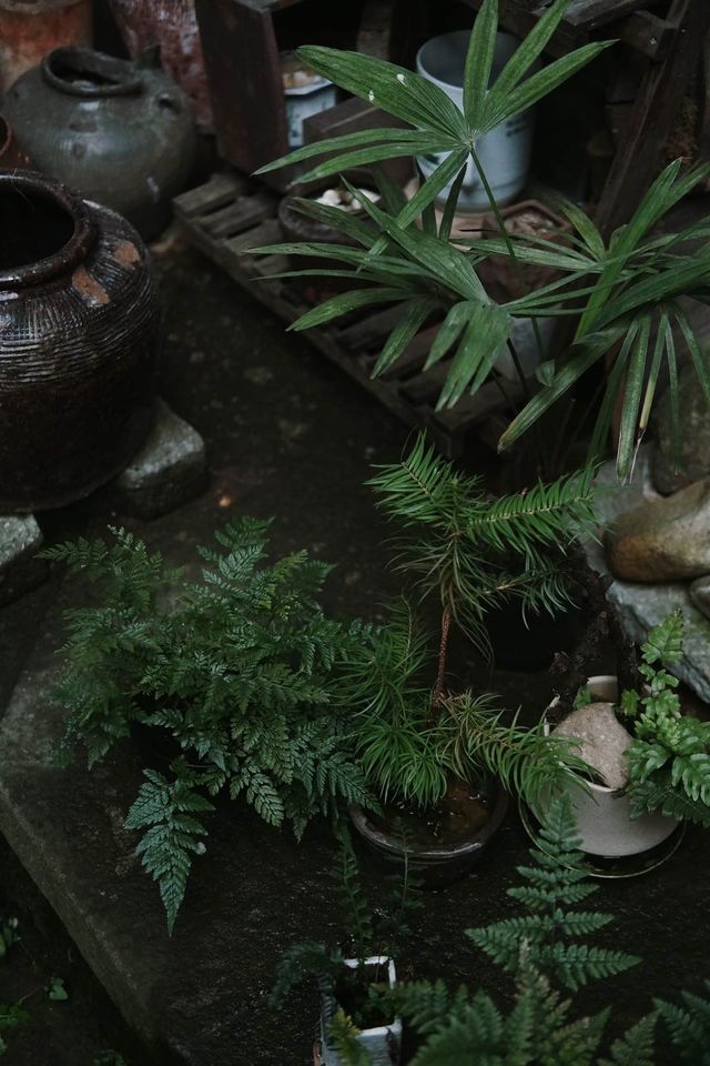 深澳古村雨天敘事｜一朝花事，一念春來