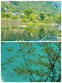 三門海人間仙境浪漫之地畫中之旅