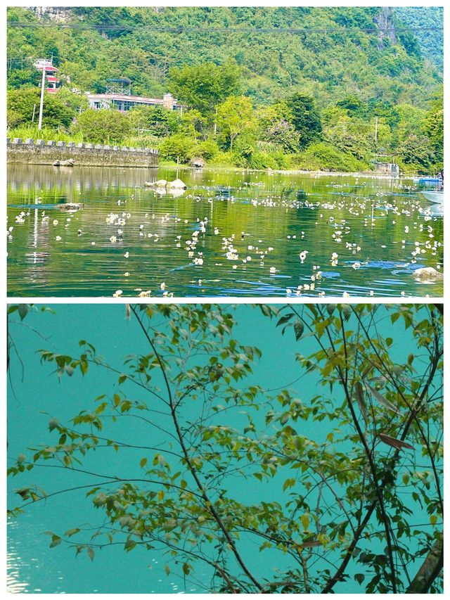 三門海人間仙境浪漫之地畫中之旅
