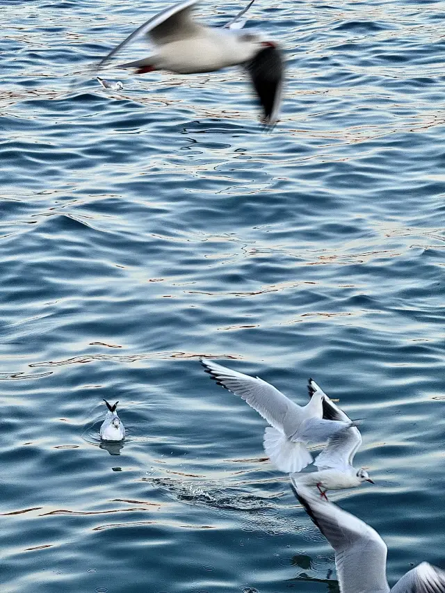 단기 연휴, 태산-곡부-칭다오 7일 여행 완벽 가이드