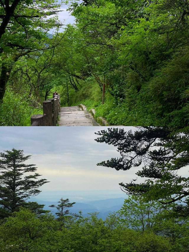 佛系青年的修仙之旅