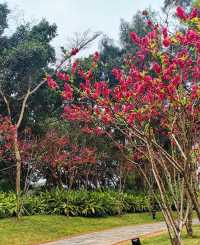 桃花朵朵開