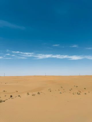 A 2-Day Trip to Zhongwei, Ningxia and Alxa Left Banner: A Foolproof Guide