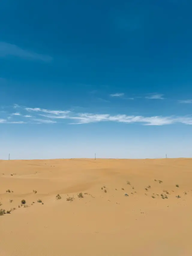 A 2-Day Trip to Zhongwei, Ningxia and Alxa Left Banner: A Foolproof Guide