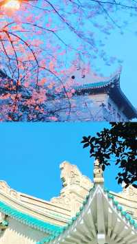 武漢大學攻略：預約，參觀路線，拍照打卡