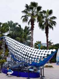 成都極地海洋公園保姆級攻略！🫧blue～
