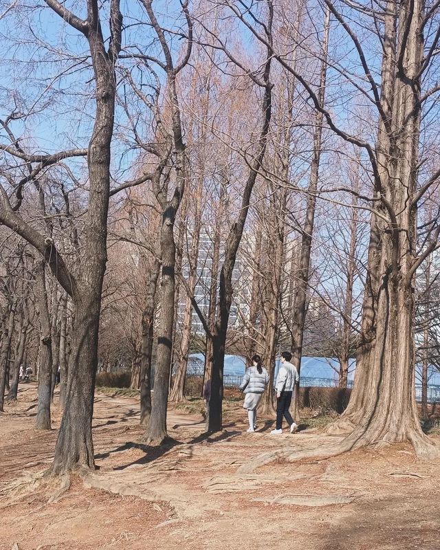 闖進現實版莫奈花園，邂逅高陽市的浪漫