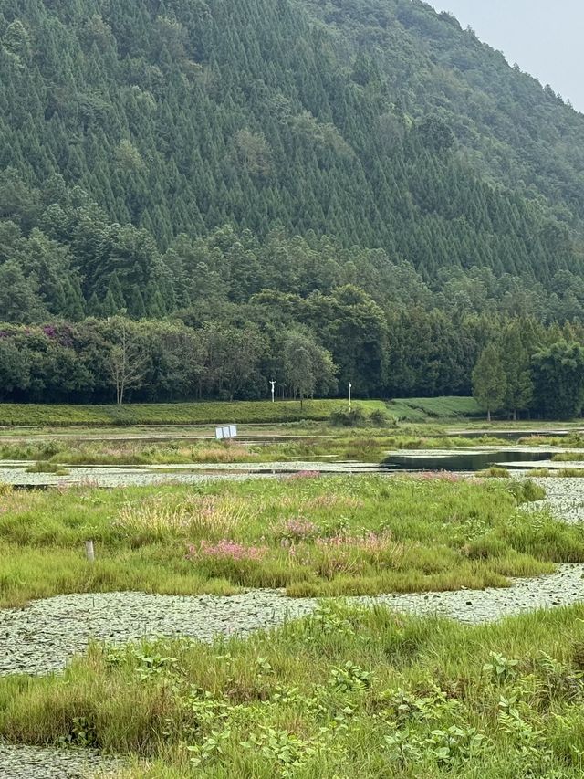 清明去德宏-保山 美到想哭好在沒錯過