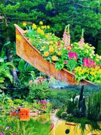勇闖綠野仙蹤仙湖植物園