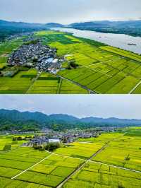 和城市斷交一天，杭州1h直達富春山居圖