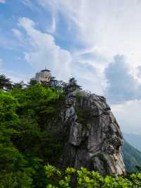 合肥周邊賞杜鵑·我在原始森林發現了秘境