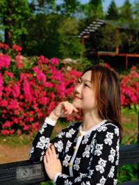 🌸全家一起去踏春｜廣州海珠湖🍀