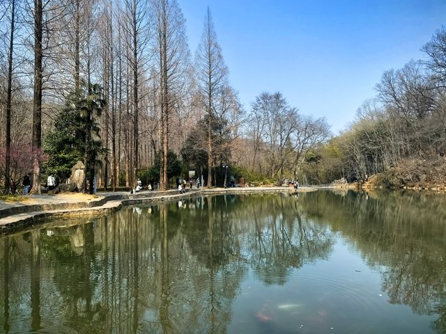 滁州琅琊山