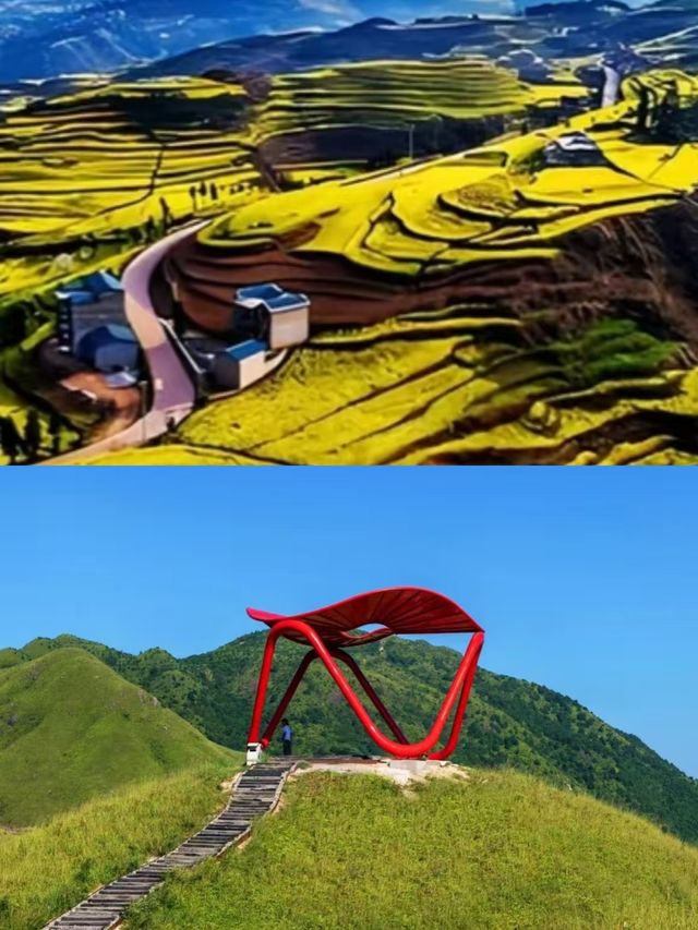 寧德已回。說點真心話。