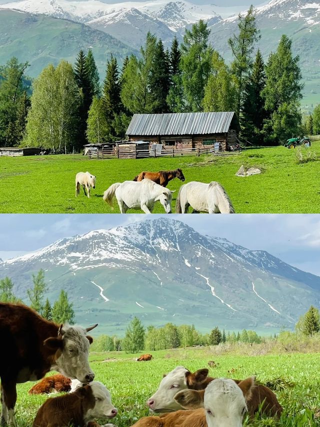 阿勒泰，一見傾心的夢幻旅行地