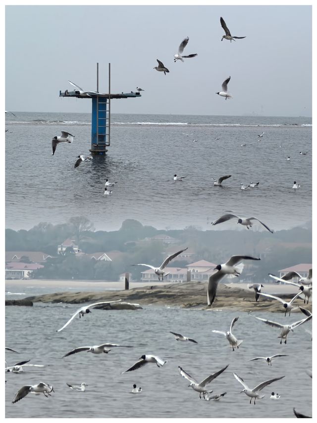 【河北秦皇島～北戴河老虎石海上公園】