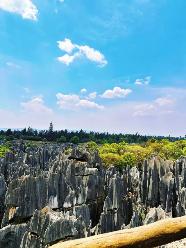 🪨Stone Forest Scenic Area | Enter a Dreamland of Stones and Experience Nature's Masterpiece
