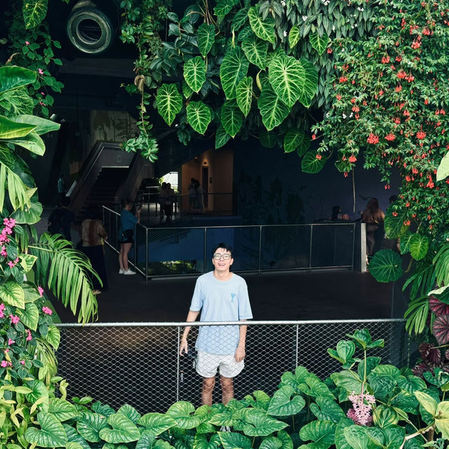 🇸🇬 | 🌲🌿新加坡雲霧森林｜闖入現實版「阿凡達」仙境！