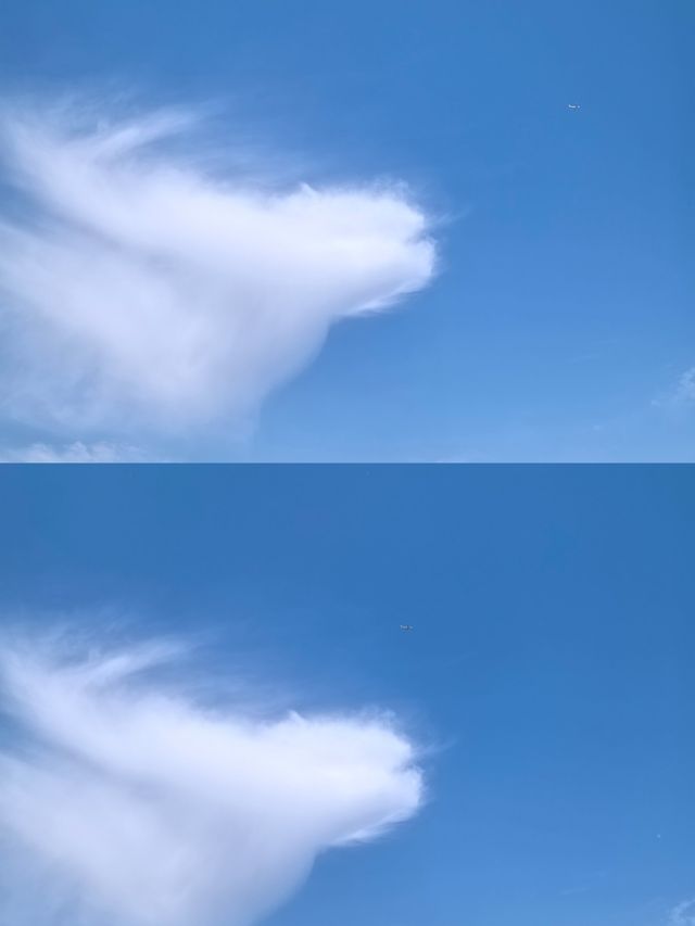 藍天碧水——奧林匹克水上公園