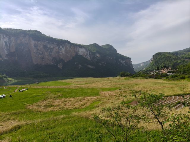 野紀河