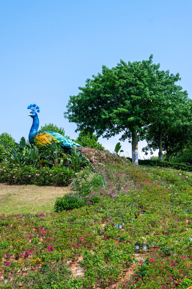 東莞如果只去一個地方，那一定是植物園！