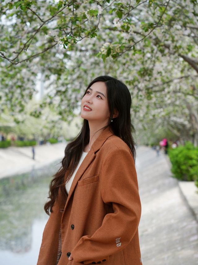 帝都春夏撒野指南