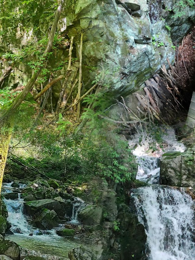 綠石谷｜東北小九寨·山水秘境 