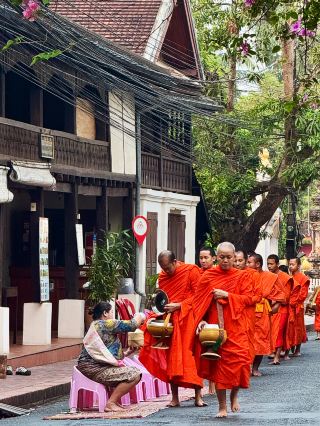A Sacred Dawn Ritual: First Experience of Alms Giving in Luang Prabang