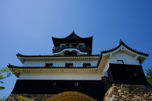 野兔Andy帶小狗仔遊名古屋