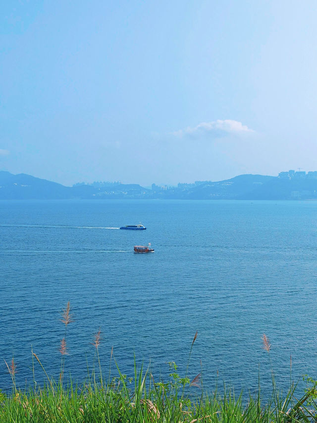 香港廈門灣：海上樂園的精彩體驗