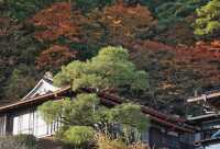 箱根｜三河屋，擁有140年歷史的溫泉旅館