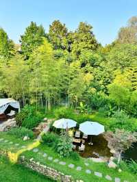 初夏誤入莫奈花園 江浙滬最美湖畔花園溯溪